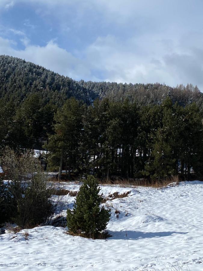 Chalet Au Pieds Des Pistes Le Cambre Aze Bolquere Pyrenees 2000 Εξωτερικό φωτογραφία